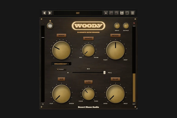 Woody – DI Acoustic Guitar Enhancer