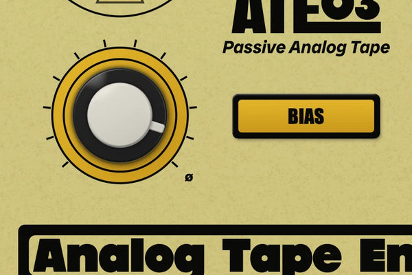 Analog Tape Enhancer – Bias — eleven positions plus bypass